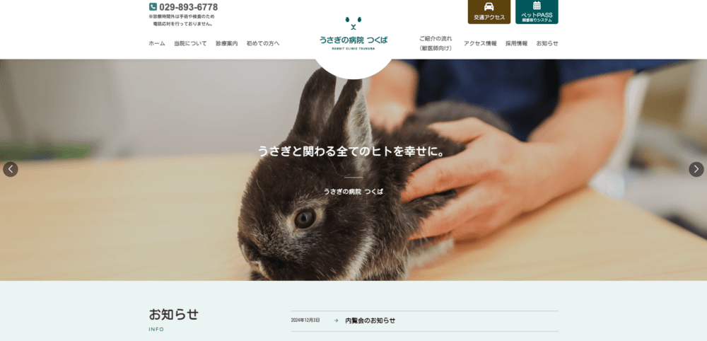 うさぎの病院つくば
